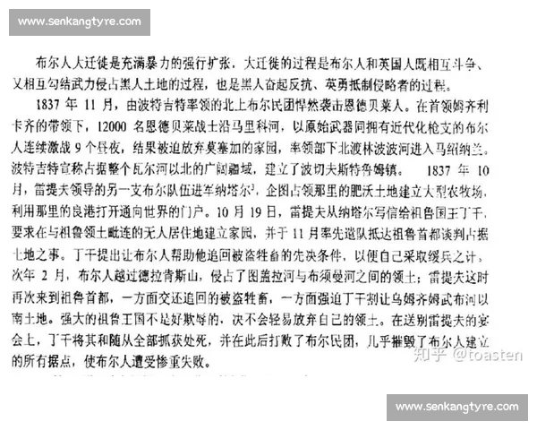 南非VS世界强队激战背后的经济文化影响与社会关注解析