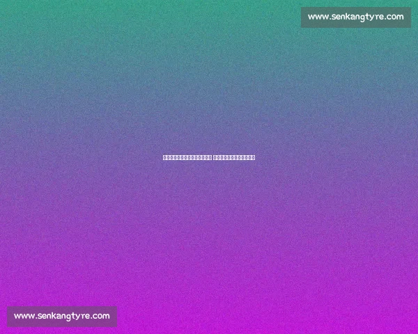 灰熊险胜雷霆展现强大攻防实力 双方激战四节精彩瞬间回顾